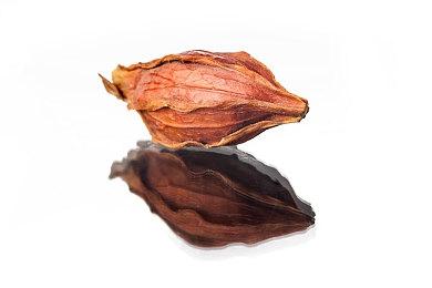 《新世界》总监承认：我们节奏太快导致犯错